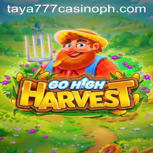 Discovering GoHighHarvest: A New Era in Online Gaming at Taya777 Casino