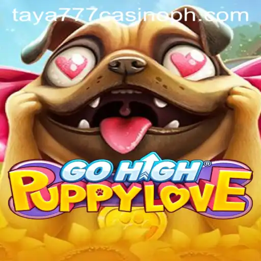 GoHighPuppyLove: A Fun Adventure in the World of Taya777 Casino