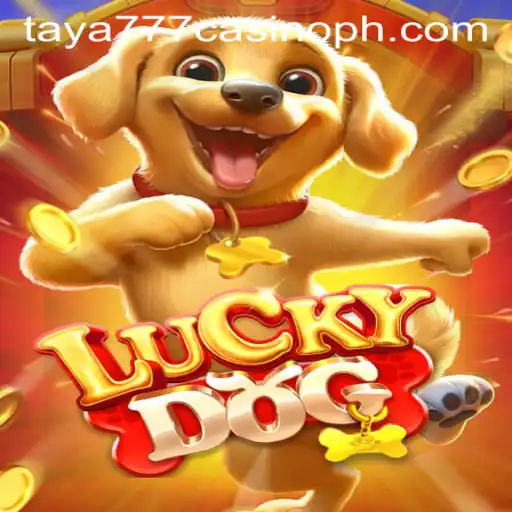 Exploring LuckyDog: A Comprehensive Guide to Taya777 Casino's Exciting Game